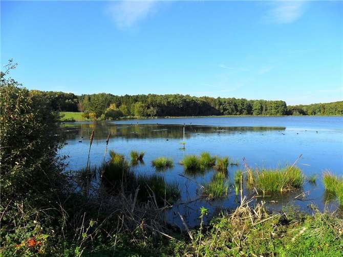 Leichenfund in Niederdürenbach: Staatsanwaltschaft will sich äußern Der Rodder Maar bei Niederdürenbach. Foto: pixabay.com