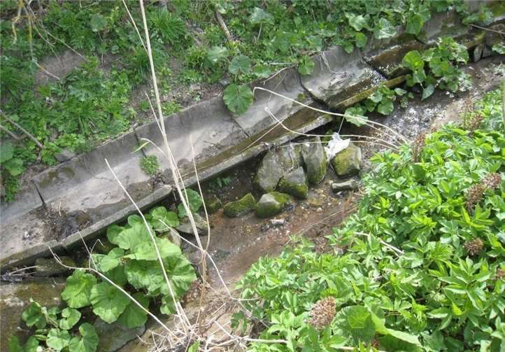 Der Rote Erdbach bei Münstermaifeld. Foto: privat