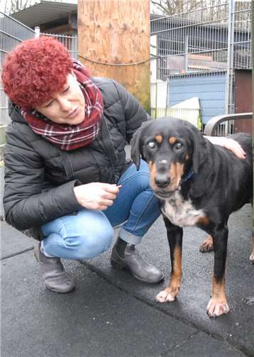 Tierschützer geben nicht auf Der Rottweiler-Mischling „Cody“ ist blind, freut sich aber über jeden Kontakt zu Menschen und genießt ihre Zuneigung.