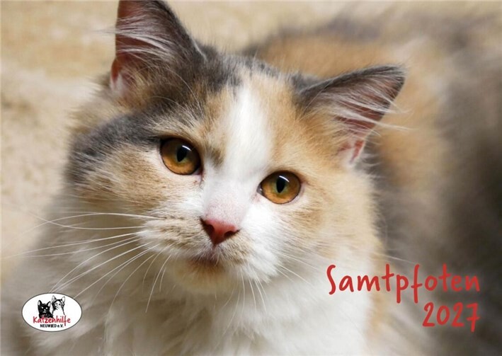 Der Samtpfoten-Kalender 2027 der Katzenhilfe Neuwied ist da.