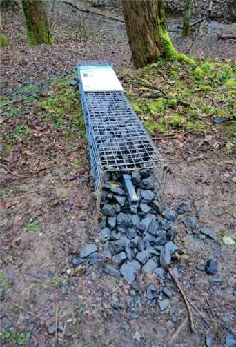 Der Schaden wird auf rund 2.000 Euro geschätzt.