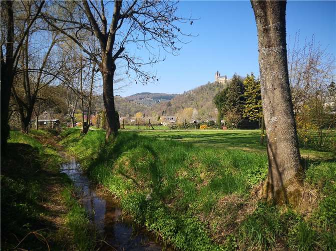 Der Scheuerner Mühlengraben im Frühling. Foto: privat