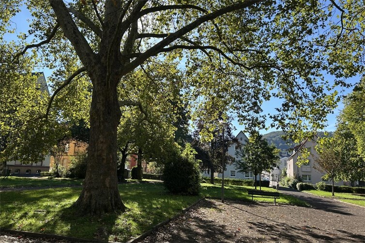 Der Schillerpark in Lahnstein verwandelt sich ab dem 20.Oktober wöchentlich in einen Marktplatz.  