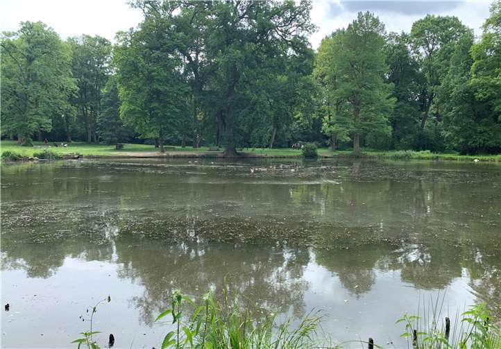 Der Schlosspark bietet hervorragende Voraussetzungen.