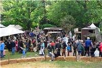 Der Schlosspark verwandelte sich in ein Zeltdorf. 