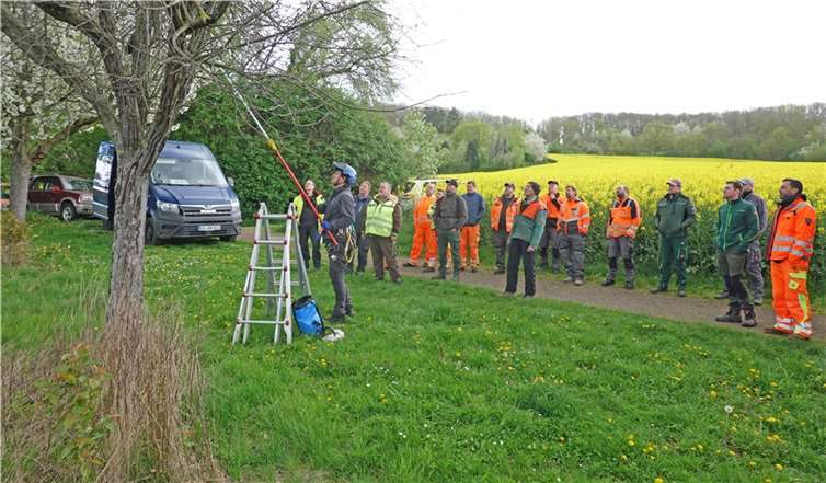 Der Schnittkurs für kommunale Mitarbeiter in Saffig erfreute sich großer Beliebtheit. Foto: Kreisverwaltung MYK/Dr. Rüdiger Kape