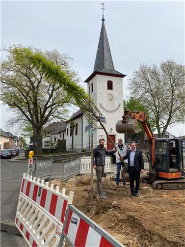 Der Schnurbaum auf dem Dorfplatz. Fotos: privat
