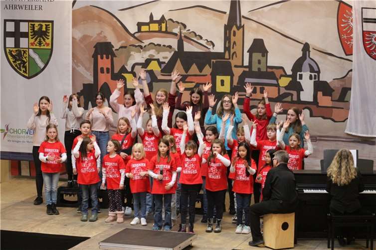 Der Schüler- und Jugendchor „Zissner (B)Engel“ rockten den begeisterten Saal.  Fotos: DU