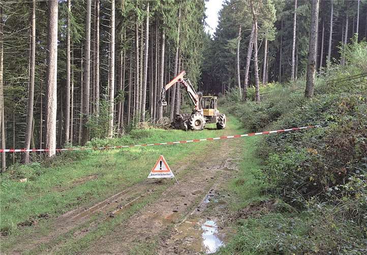 Der Sicherheit von Waldbesuchern dienen die Absperrungen während der Holzerntearbeiten. Frank Hüllen, Landesforsten RLP