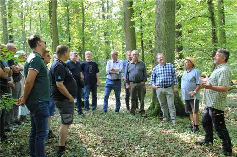 Der Sinziger Rat hat den Forst nicht nur bei Waldbegehungen im Blick. Jetzt hat der Rat im Rathaus die Weichen für die Zukunft des Stadtwaldes gestellt.  Foto: GS