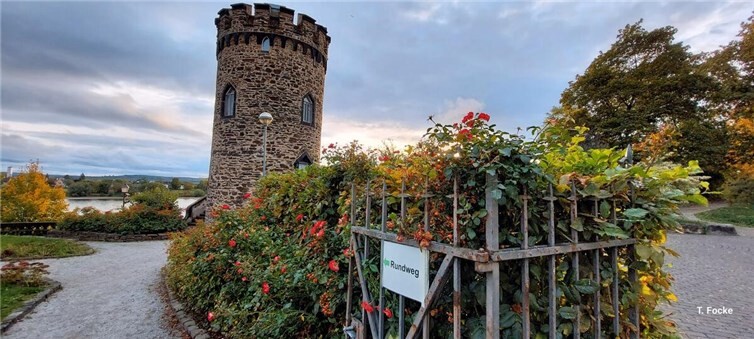 Der Stadtmauerpfad ist komplett ausgeschildert.  Foto: Thomas Focke