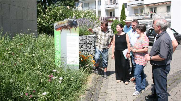 Der Stadtrundgang führte vorbei an diversen bienenfreundlichen Standorten.