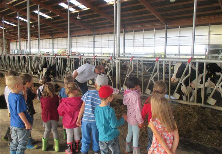 Der Stall ist riesengroß und der Bauer kennt alle seine Tiere.