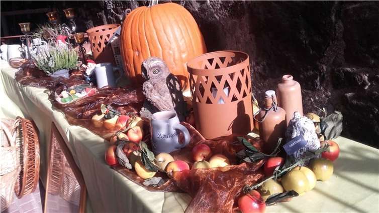 Der Stand der Andernacher Tafel für Tiere ist bei Edeka Noll zu finden. Foto: privat