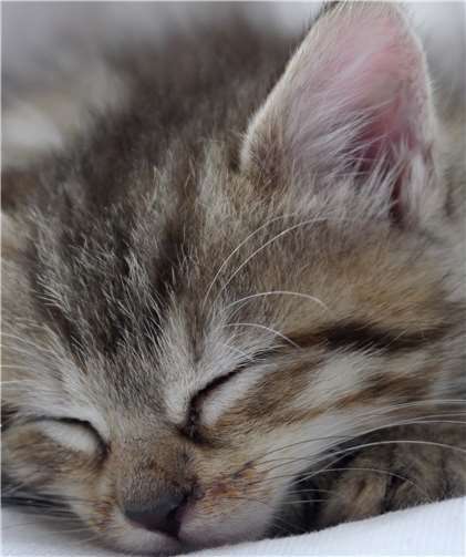 Der Startschuss für die neue Saison im Nachwuchs ist gefallen. Fotos: Doris Litz