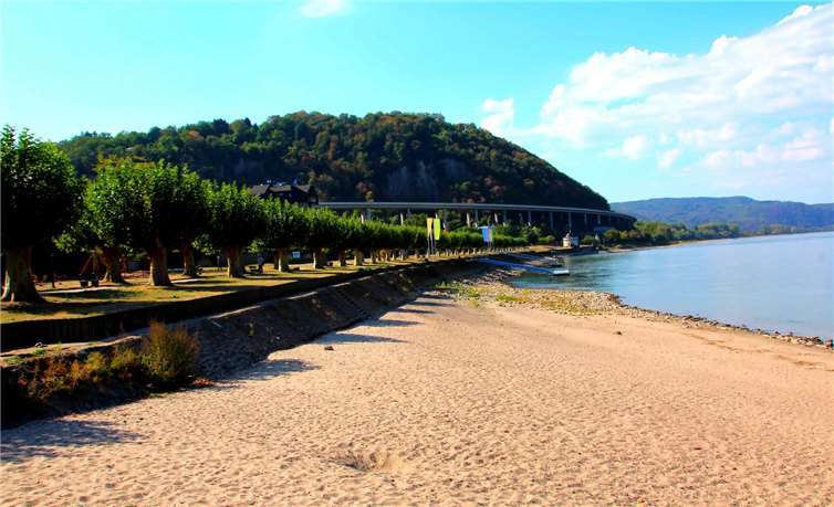 Der Strand von Andernach am Rhein, im Hintergrund die schöne Platanenallee.Dietmar Groß