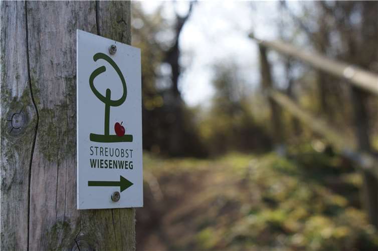 Der Streuobstwiesenweg ist ein beliebter Themenweg unter dem Traumpfaden im Landkreis Mayen-Koblenz. Fotos: Horst Hohn