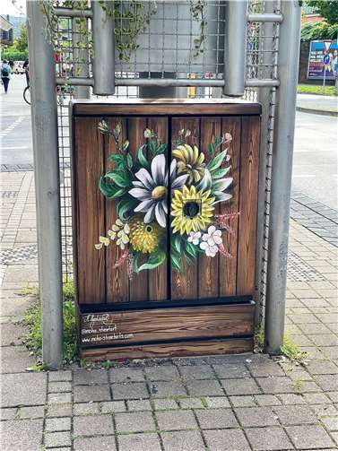 Der Stromkasten von Künstler Alexander Heyduczek. Fotos: Stadt Koblenz/Tanja Nikolay