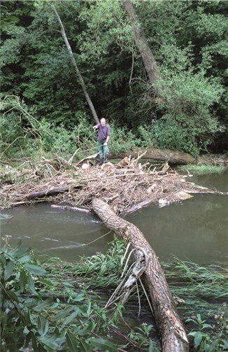 Der Sturm hatte einen Baum in die Ahr gestürzt.privat