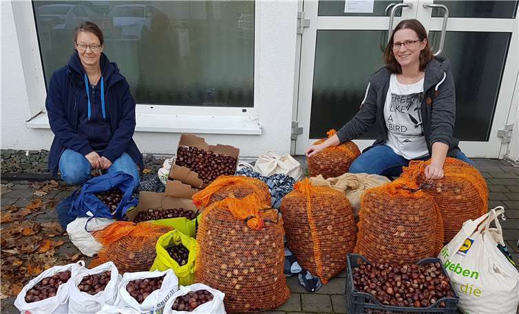 Der TV06 Bad Neuenahr startete eine Sammelaktion.Foto: privat
