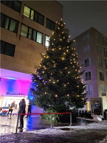 Der Tannenbaum ist mittlerweile sicher in der Hauptstadt angekommen und wurde festlich geschmückt und beleuchtet.  Foto: Gertrud Hohn