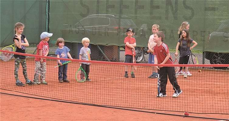 Der Tennisclub Erpel versucht, für die Jüngsten des Vereins eine neue Trainingsmöglichkeit zu bieten und ist daher auf jede Stimme angewiesen. Privat