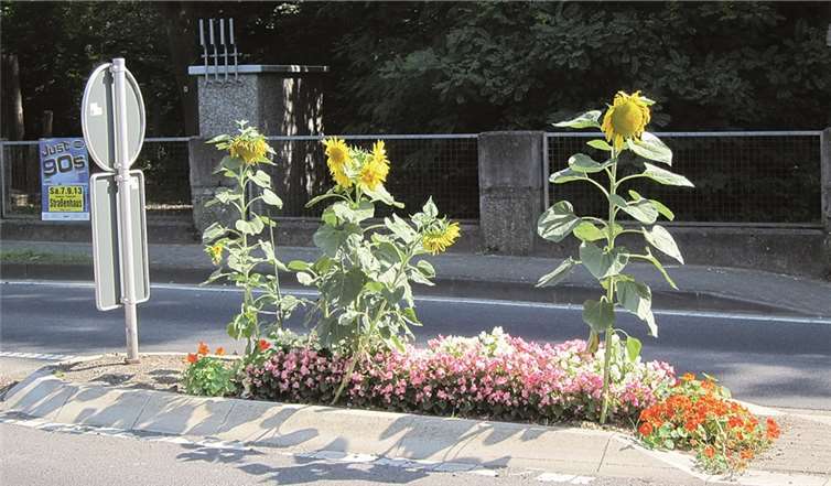Der VV Melsbach ist am 14. September wieder im Einsatz.privat