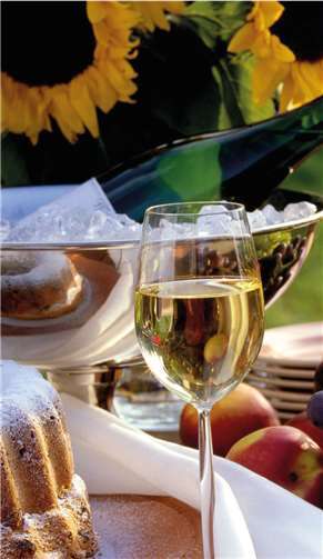 Der Verein „Die Müllkinder von Kairo“ lädt zur Benefizveranstaltung ein. Foto: privat