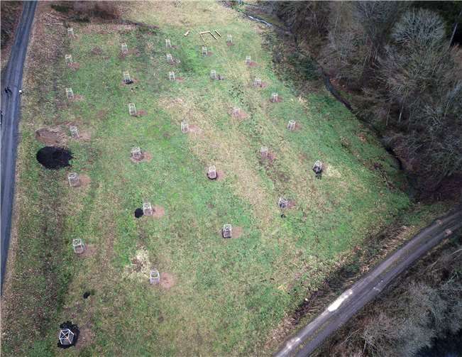 Der Verein betreut die neue Streuobstwiese in Leimbach-Adorferhof. Foto: W. Sander