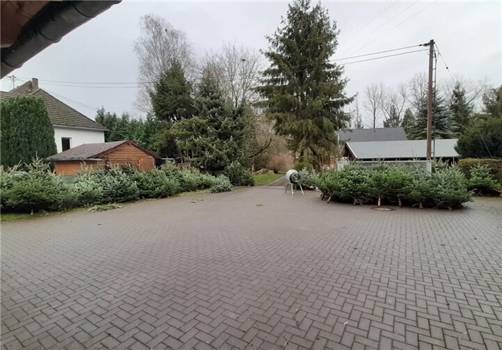 Der Verein bringt auch dieses Mal die Weihnachtsbäume vor die Tür. Foto: privat