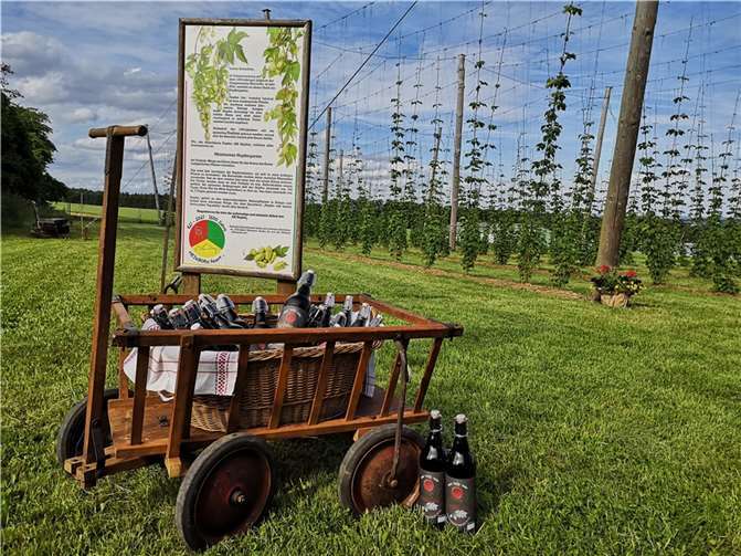 Der Verkauf findet am 4. Adventswochenende dem 17. und 18. Dezember statt. Foto: privat