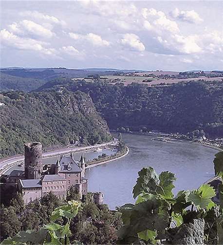 Der WWV lädt zur Wanderung auf dem Rheinsteig ein.privat
