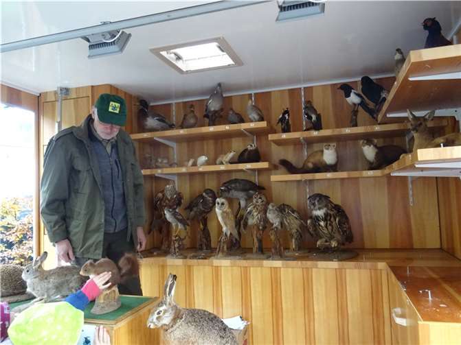 Der Wagen der „Erlebnisschule Wald und Wild“.  Quelle: Kita „Strünzer Pänz“