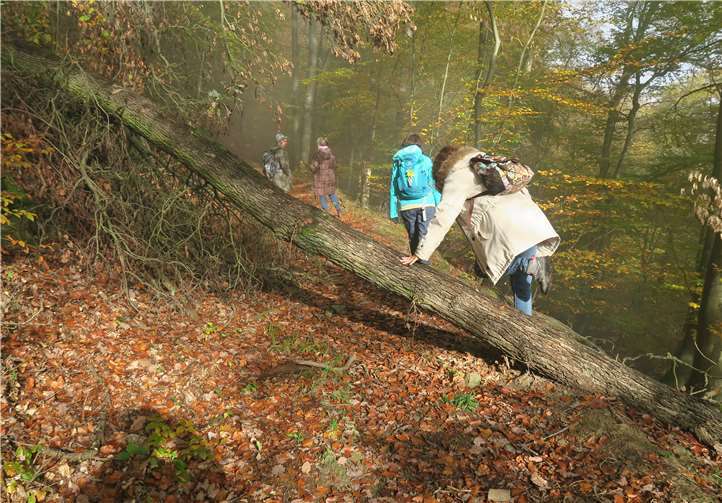 Der Waldboden war durch den Regen aufgeweicht.Foto: privat