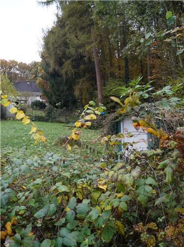 Der Waldrand entlang des Hartzbergs wird gesichert. privat