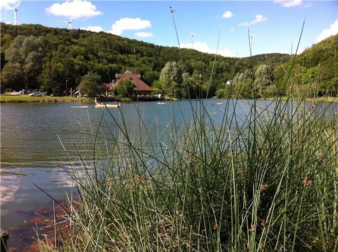 Der Waldsee in Rieden soll noch attraktiver werden.  Foto: privat