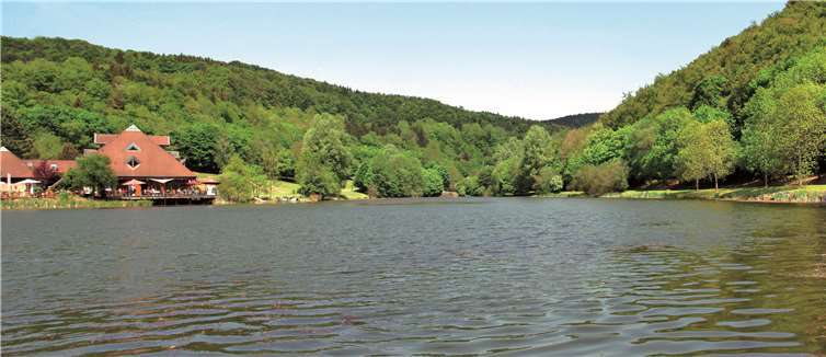 Der Waldsee in Rieden wurde für seine herausragende Wasserqualität ausgezeichnet. Foto: Juergen Thierfelde