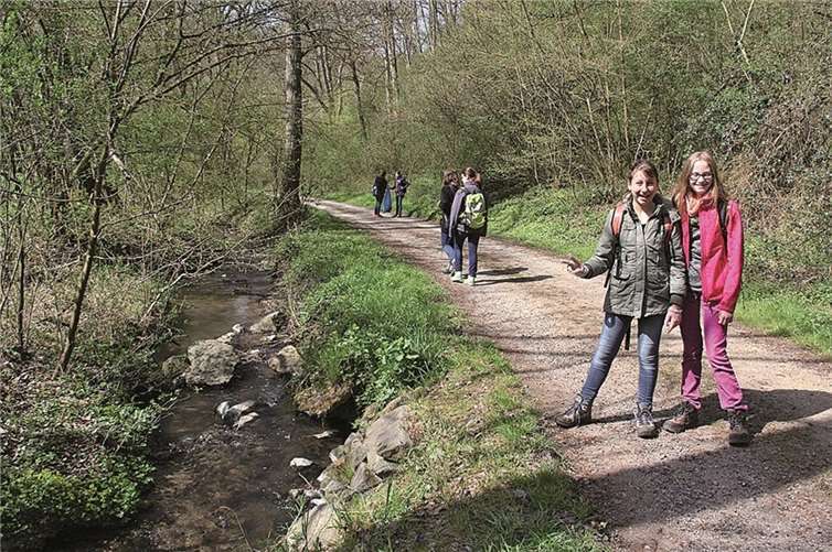 Der Wambach und der herrliche Frühlingswald.