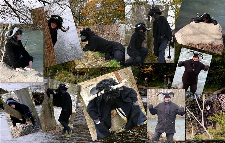 Der Wasserbüffel hat sich in seinem neuen Habitat ganz offensichtlich schon wunderbar eingelebt. Foto: privat