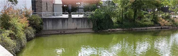 Der Wasserpegel singt beständig.Peter Haarhaus