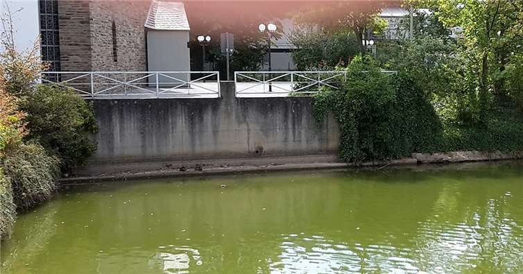 Der Wasserspiegel sinkt aktuell ständig.Peter Haarhaus
