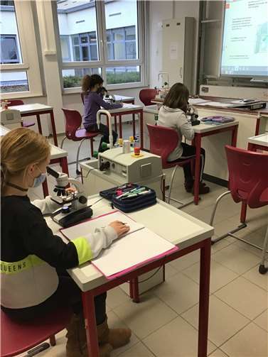 Der Wechsel zu einer weiterführenden Schule rückt näher.Foto: privat