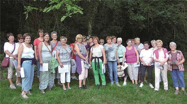Der Weg der katholischen Frauengemeinschaft bei ihrer Abendwanderung führte immer wieder vom Schatten ins Licht.  Privat