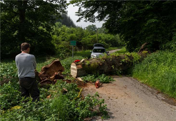 Der Weg musste schnell freigeräumt werden. Guenter Hahn