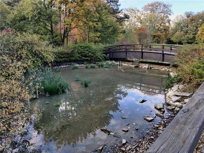 Der Weiher im Ernst-Wagner-Park.  Foto: privat