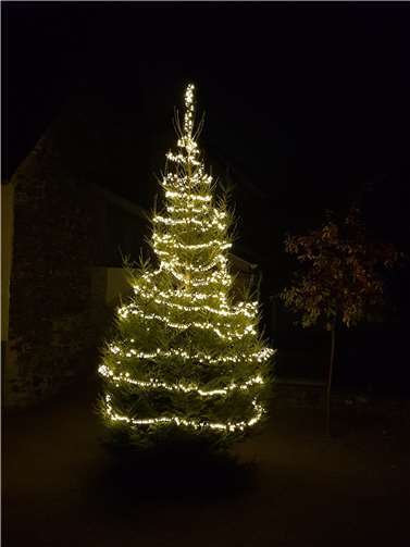 Der Weihnachtsbaum am Nachbarschaftsplatz.
