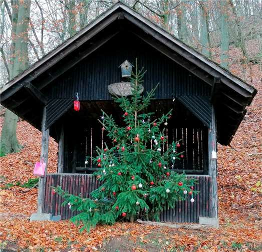 Der Weihnachtsbaum an der Hütte sorgt für weihnachtliche Stimmung. Foto: Verkehrsverein Arzbach