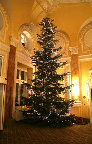 Der Weihnachtsbaum im Foyer des Thermal-Badehauses in Bad Neuenahr. -HG-