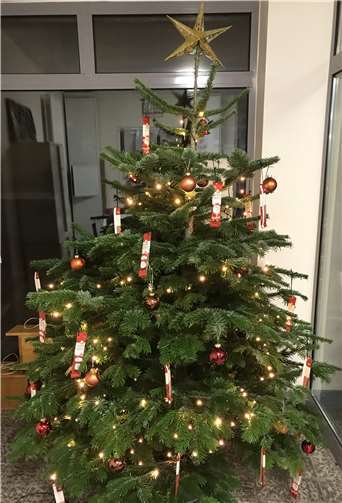 Der Weihnachtsbaum im Jugendtreff ist festlich geschmückt.