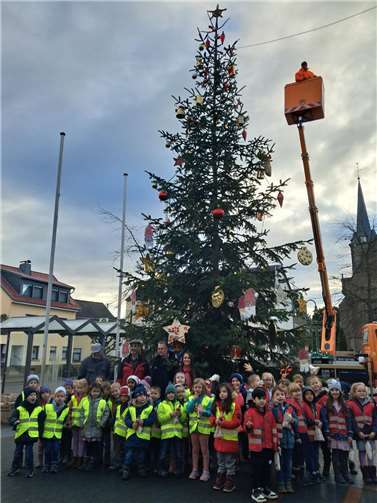Der Weihnachtsbaum in Kripp.  Foto:privat